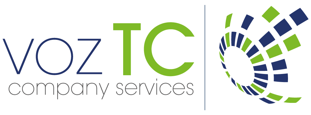 Voz Techonology